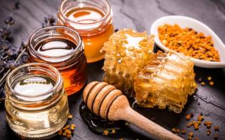 Существуют ли медовые диеты и вообще — можно ли есть мед при похудении Можно ли мед при худении