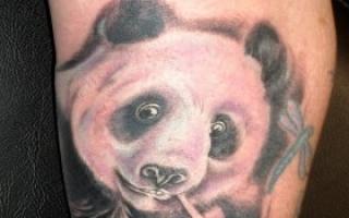 Значение татуировки панда или что означает тату панда